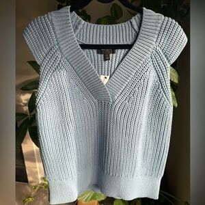 Banana Republic Light Blue V-Neck Sweater
